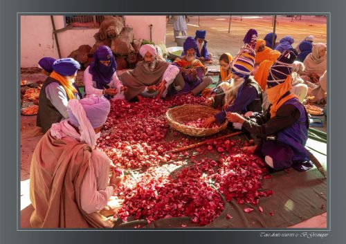 038-ANAND-PUR-SAHIB