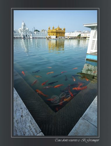 Amritsar