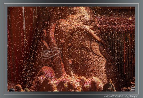 Bahubali - Pélerinage Jaïn
