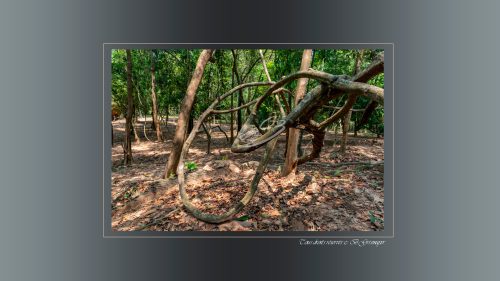 Beng Mealea
