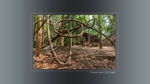 Beng Mealea