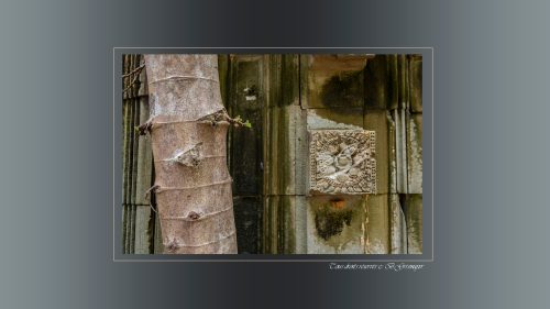 Beng Mealea