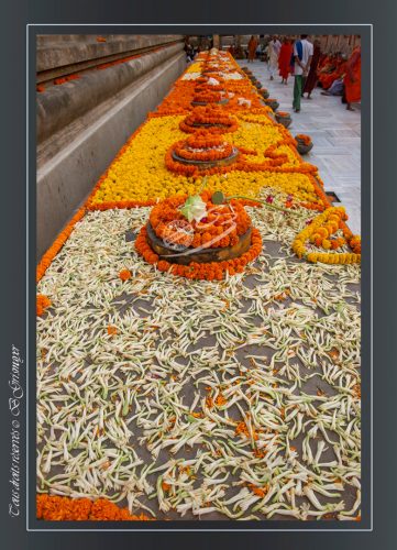 Bodhgaya