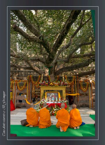 176-Bodhgaya