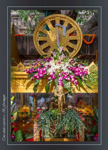 181-Bodhgaya