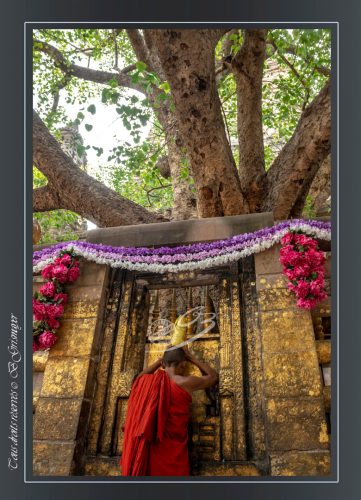 184-Bodhgaya
