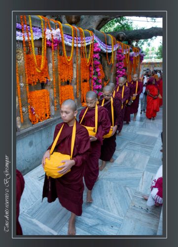 201-Bodhgaya
