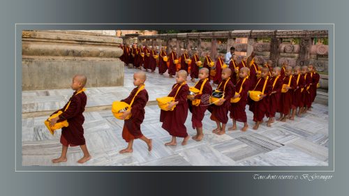 204-Bodhgaya