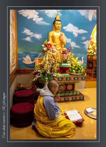 249-Bodhgaya