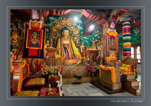 264-Bodhgaya