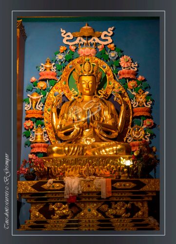 267-Bodhgaya