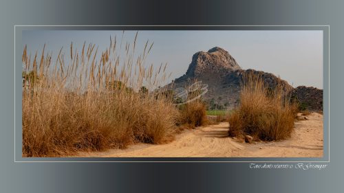 280-DugeshvaraBodhgaya-Sujata