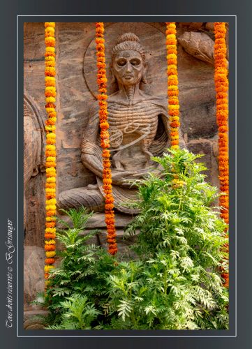 287-Bodhgaya-Sujata