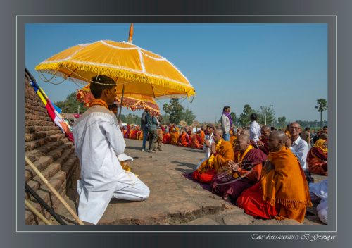 312-Bodhgaya-Sujata