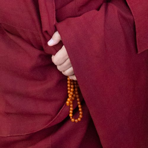Details   Bodhgaya2018-4J-DSC 1785