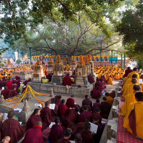 Les-MoinesBodhgaya-2016-2J- DSC9727