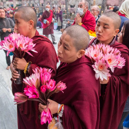 Portraits   BODHGAYA2017-2J- DSC0410