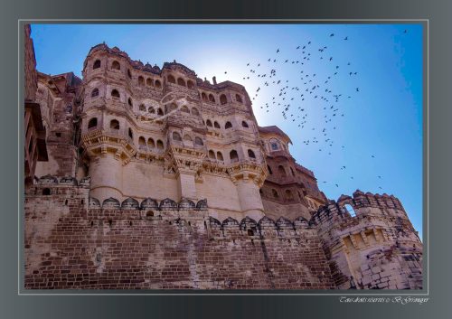 001-JODHPUR