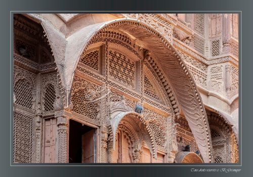 023-JODHPUR