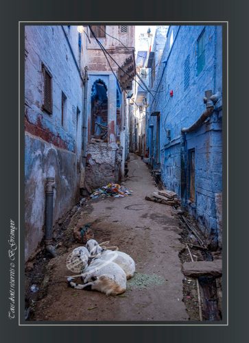140-JODHPUR