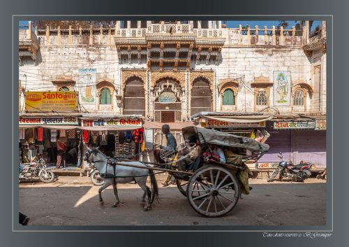 185-JODHPUR