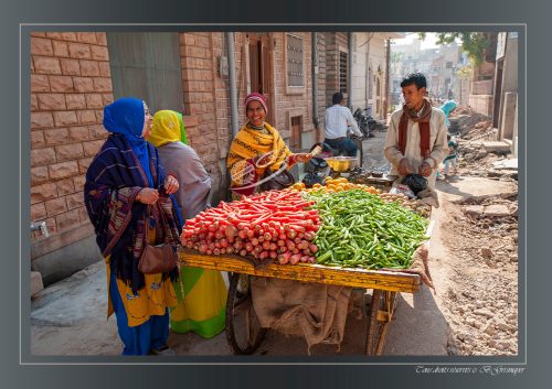 202-JODHPUR