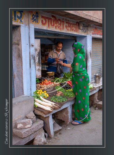 203-JODHPUR