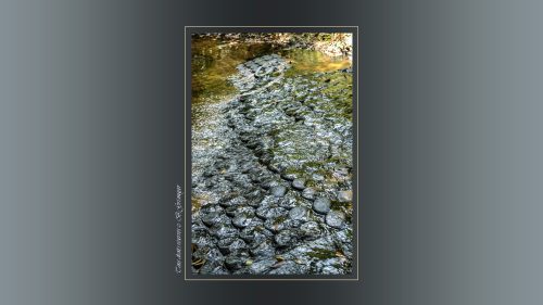 06-Stung-Kbal-Spean.-Mille-lingas-sculpture-dans-le-lit-de-la-riviere-DSC1191