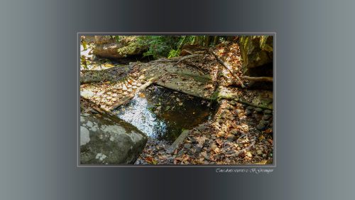 21-Stung-Kbal-Spean-Piece-deau-aux-ablutions-sculpture-dans-le-lit-de-la-riviere-DSC1210