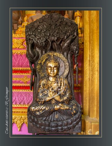 045-VAT-SI-MUANG