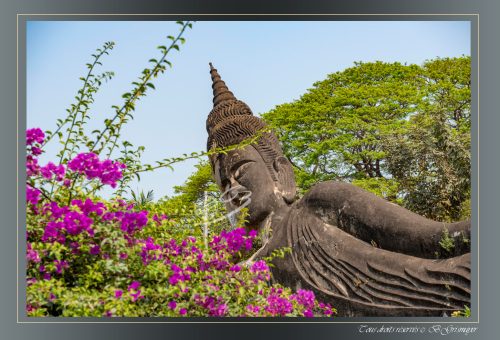 054-PARC-BOUDDHA