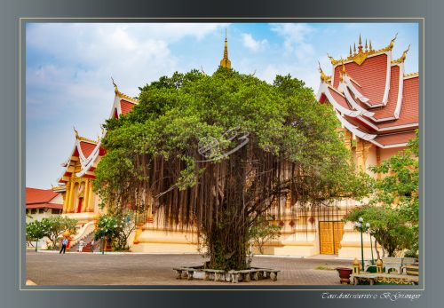 059-Vat-pha-that-luang