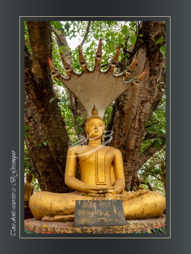067-Vat-pha-that-luang