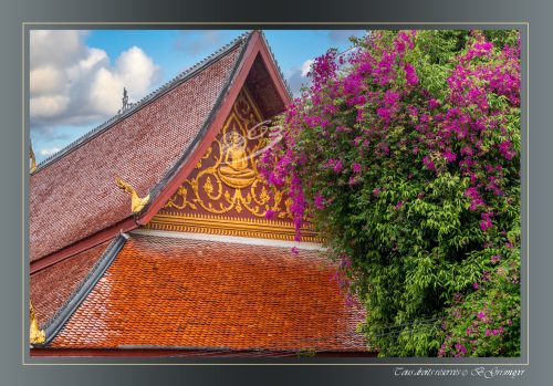 142-LOUANG-PRABANG