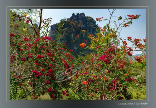 150-VANG-VIENG