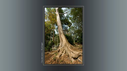 02-Porte-du-temple-Phimeanakas-10e-siecle