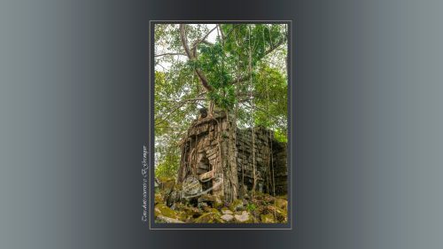 121-PRASAT-PREAH-KHAN-TA-SENG