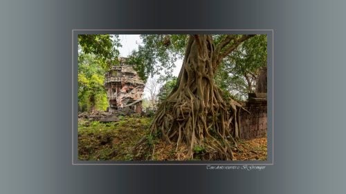 125-PRASAT-PREAH-KHAN-TA-SENG