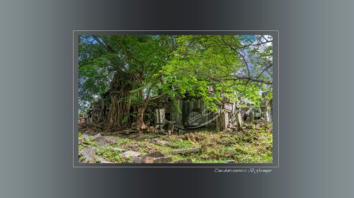 24c-PRASAT-PREAH-KHAN-TA-SENG
