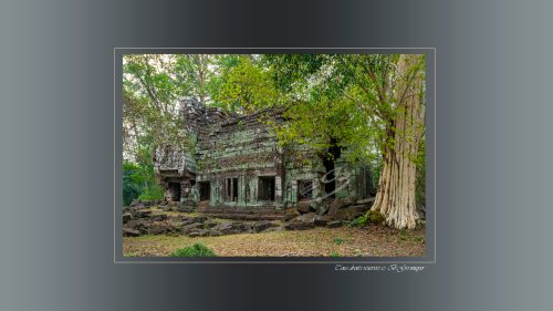 54-PRASAT-PREAH-KHAN-TA-SENG