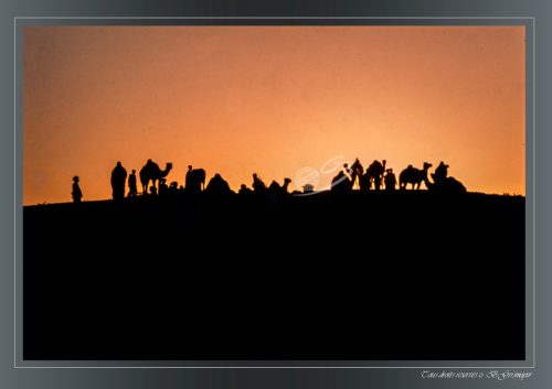 PUSHKAR-012