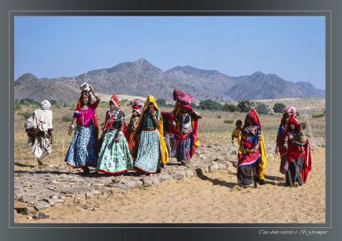 PUSHKAR-015
