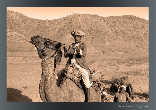 PUSHKAR-02