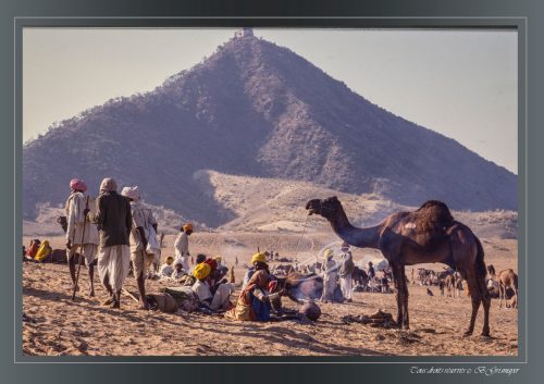 PUSHKAR-021