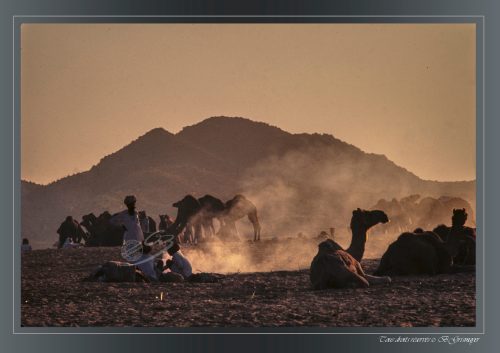 PUSHKAR-022