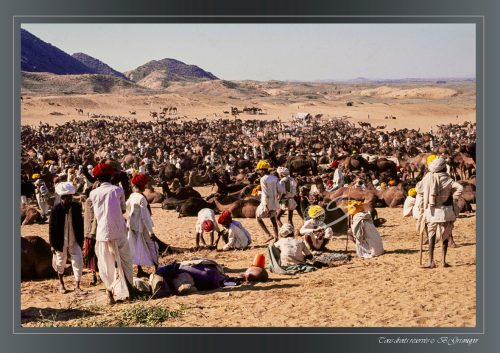 PUSHKAR-024