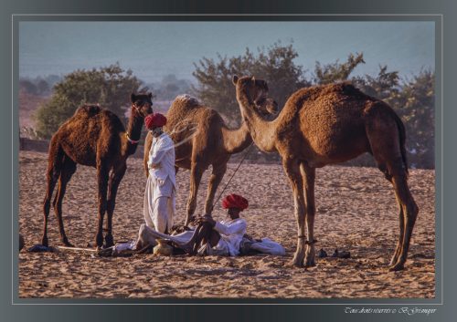 PUSHKAR-026