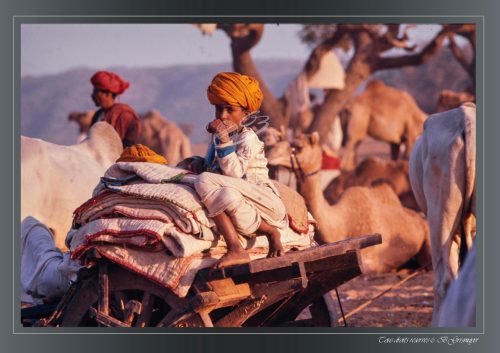 PUSHKAR-027