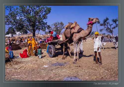 PUSHKAR-031