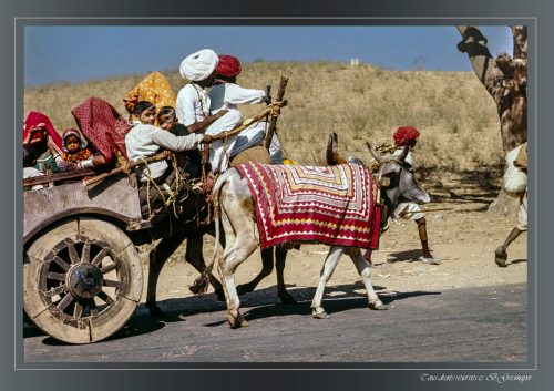 PUSHKAR-040